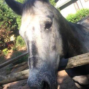 Meet your Posher, Cate